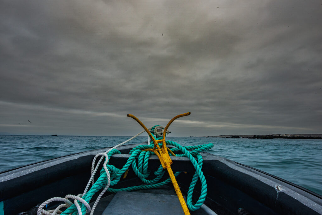 Navegación por el mar de Punta de Choros